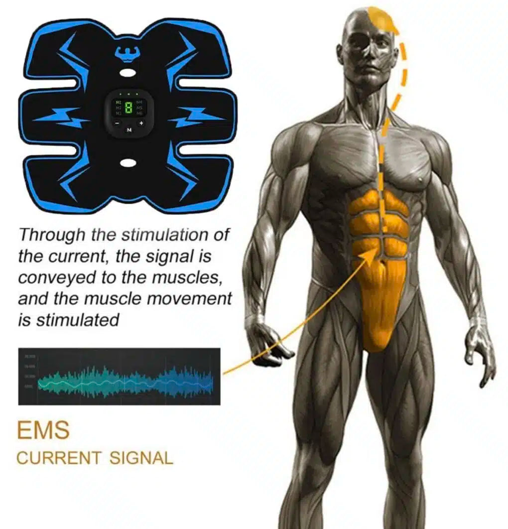Diagram illustrating EMS impulses and abdominal muscle activation